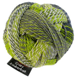 schoppel crazy zauberball
