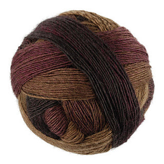 schoppel zauberball 100