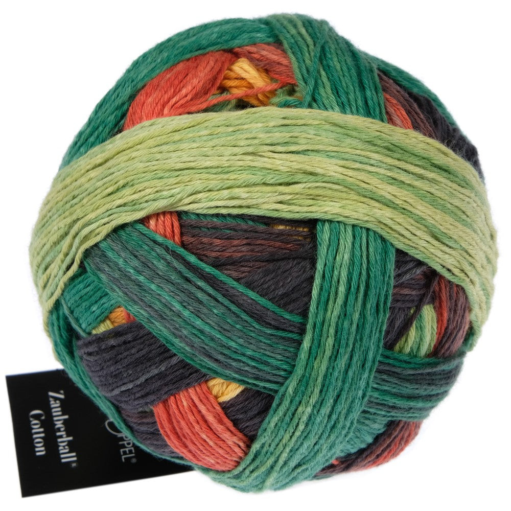 schoppel zauberball cotton