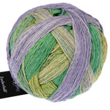 schoppel zauberball cotton