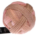 schoppel crazy zauberball