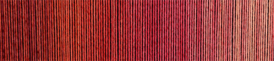 schoppel zauberball cotton