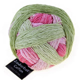 schoppel zauberball cotton