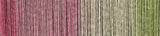 schoppel zauberball cotton
