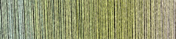 schoppel zauberball cotton