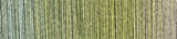 schoppel zauberball cotton