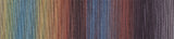 schoppel zauberball cotton