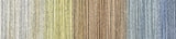 schoppel zauberball cotton