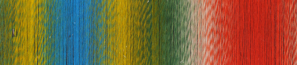 schoppel zauberball 100