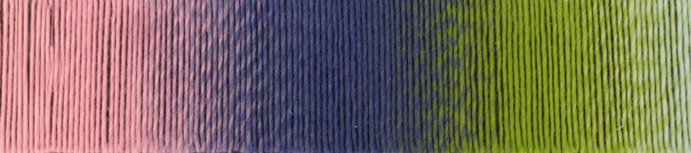 schoppel zauberball 100