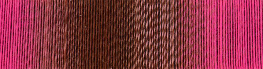 schoppel zauberball 100