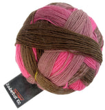 schoppel zauberball 100