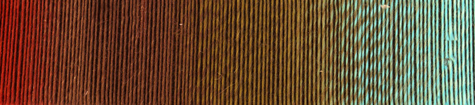 schoppel zauberball 100