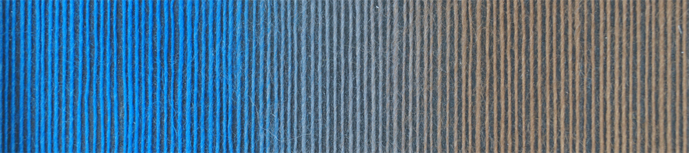 schoppel zauberball 100