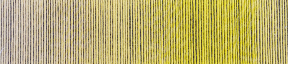 schoppel zauberball 100