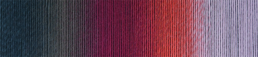 schoppel zauberball 100