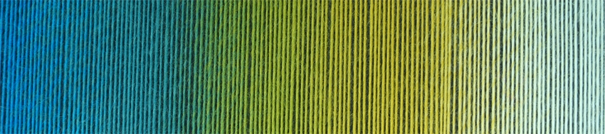 schoppel zauberball 100