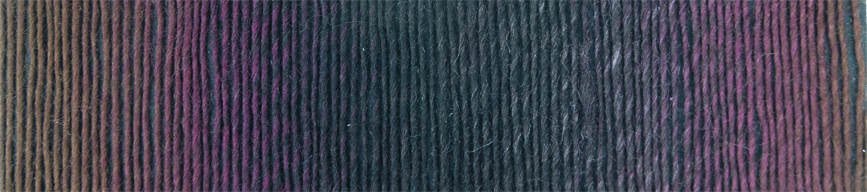 schoppel zauberball 100