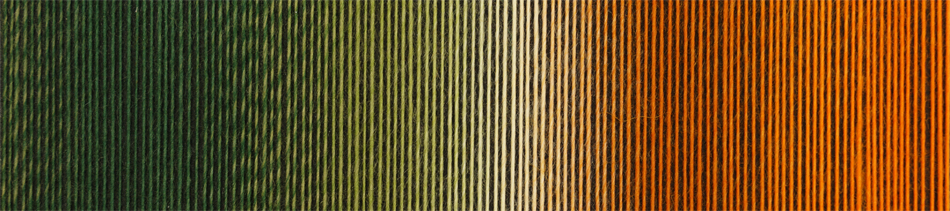 schoppel zauberball 100