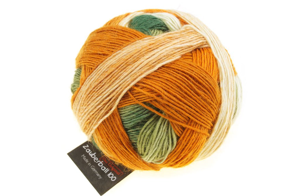 schoppel zauberball 100