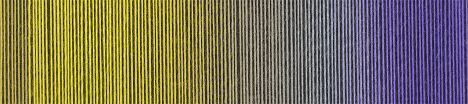 schoppel zauberball 100