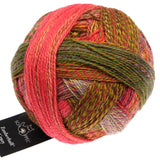 schoppel crazy zauberball