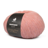 mayflower santiago light