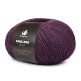 mayflower santiago light