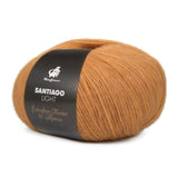 mayflower santiago light