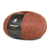mayflower santiago light