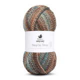 mayflower anyday step by step 3