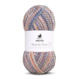 mayflower anyday step by step 3