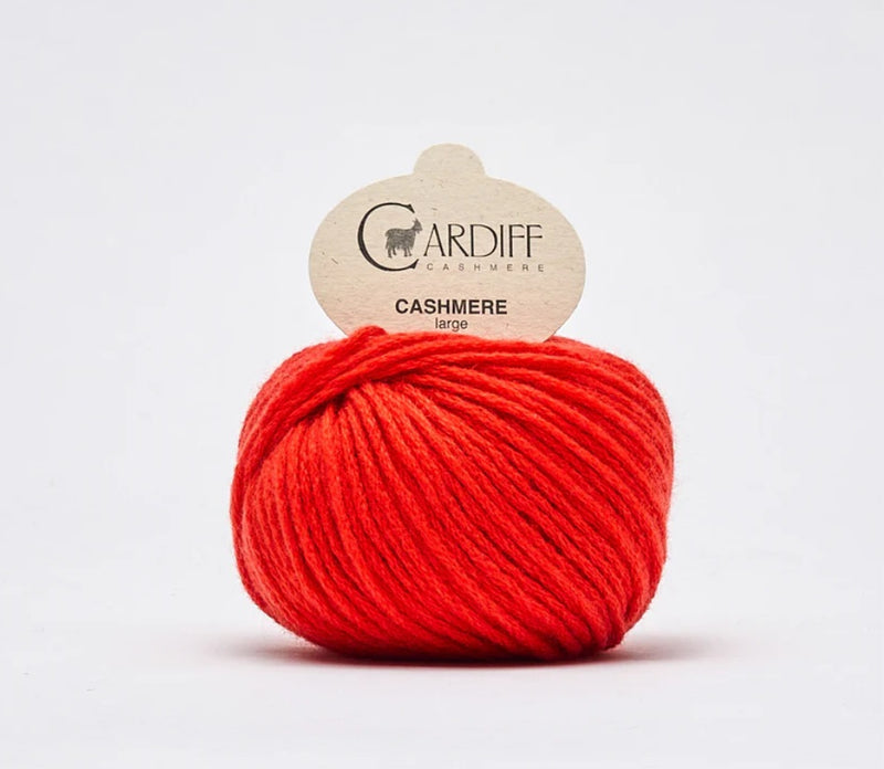 cardiff cashmere didelis