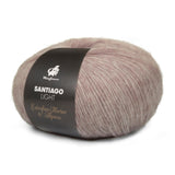 mayflower santiago light