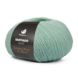 mayflower santiago light