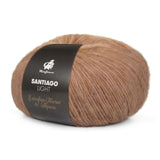 mayflower santiago light