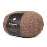 mayflower santiago light