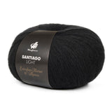mayflower santiago light