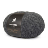 mayflower santiago light