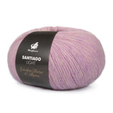 mayflower santiago light